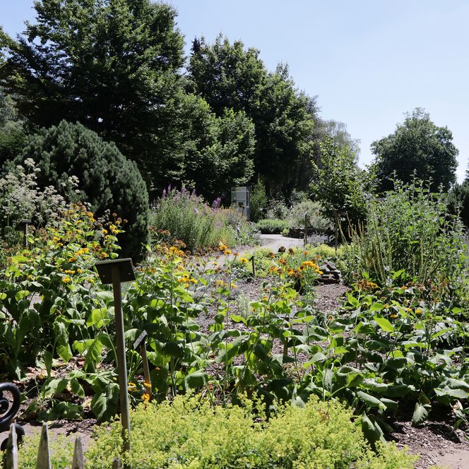 Kneipp Kräutergarten Bad Camberg