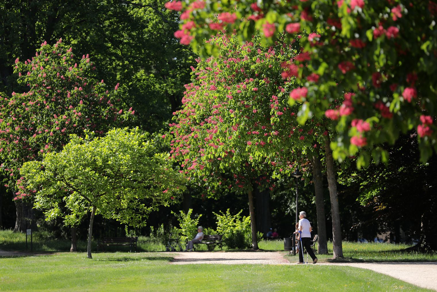 Kurpark Bad Homburg