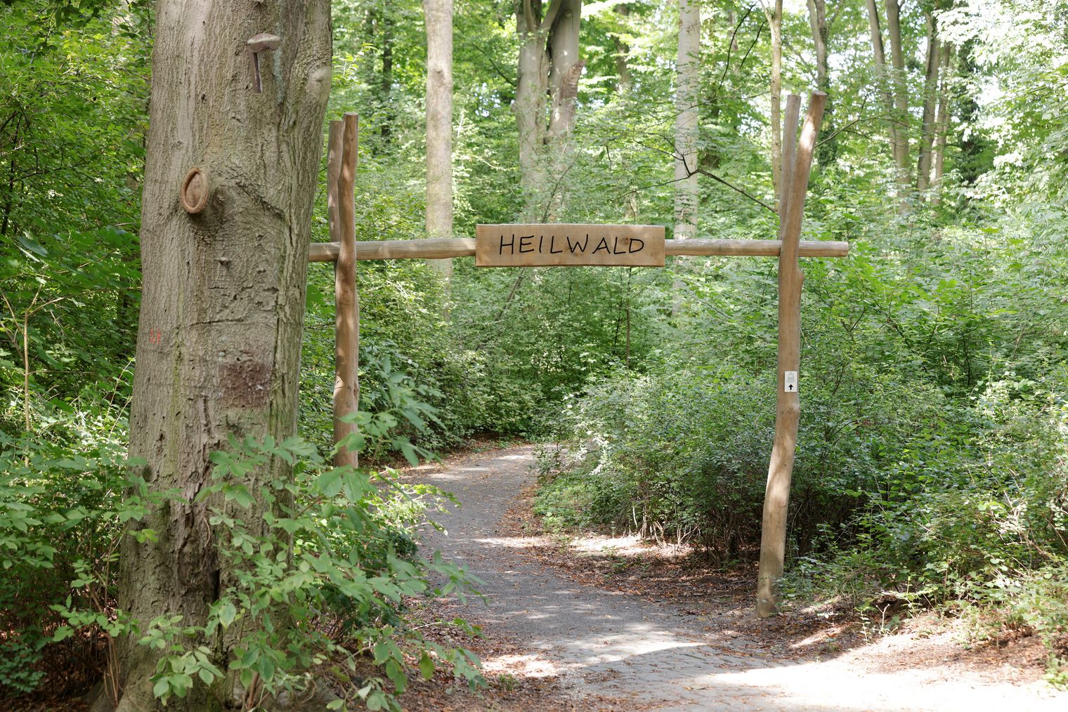 Eingang Heilwald Bad Nauheim