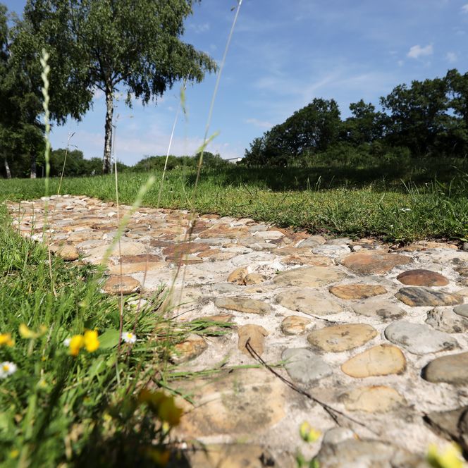 Barfusspfad in Bad Endbach