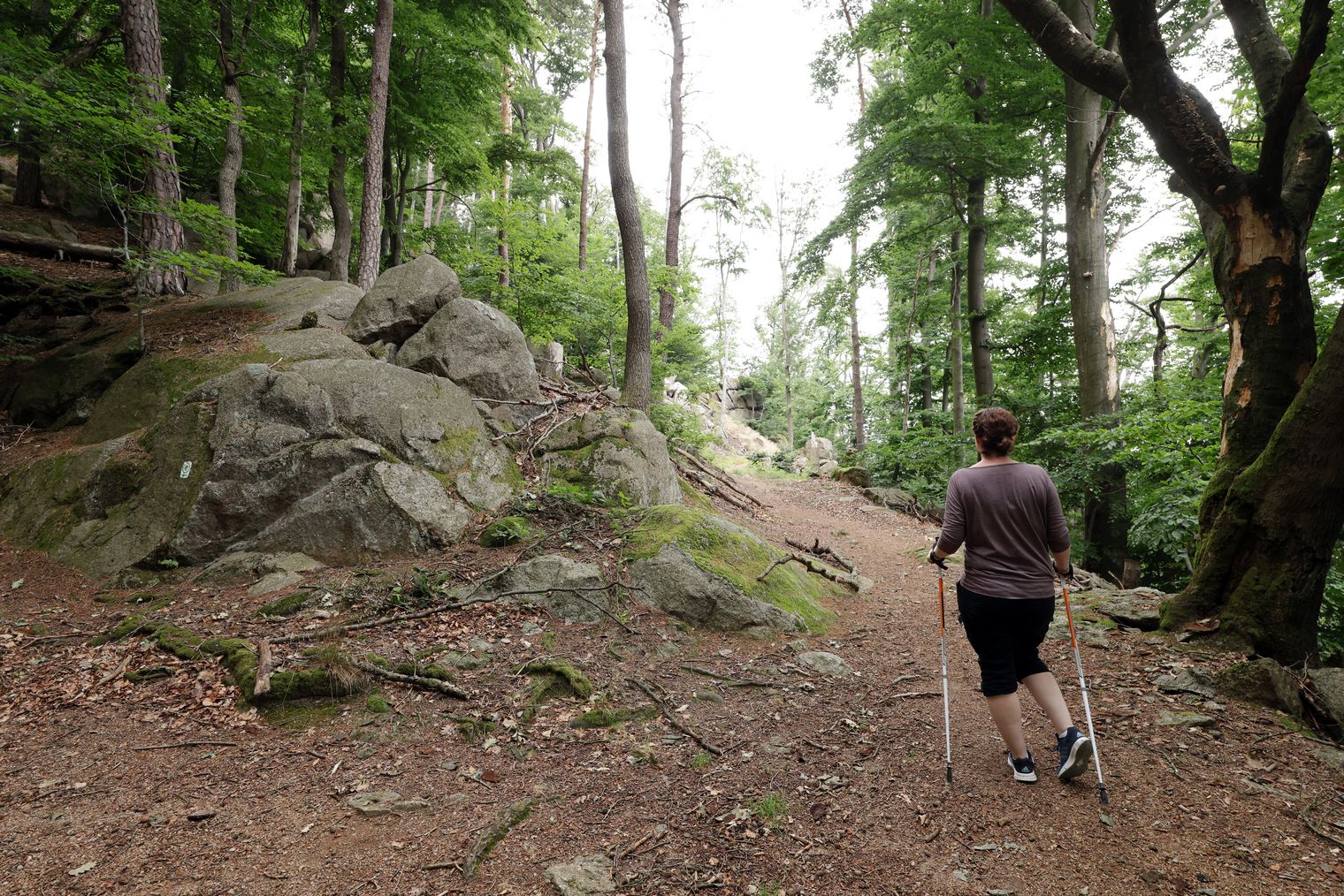 Eine Frau läuft mit Nordic Walking Stöcken durch den Wald