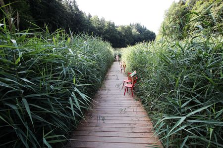 Begehbarer Moor Bad Schwalbach